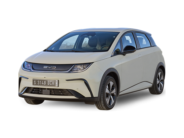 Byd Dolphin(13) Lease