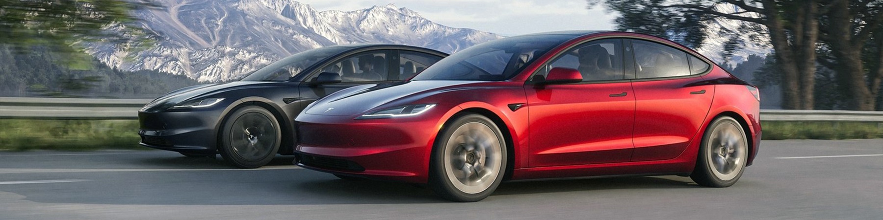 Tesla Model 3 75kWh 425 km actieradius