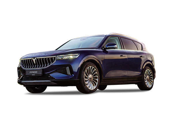 Voyah Free(14) Lease