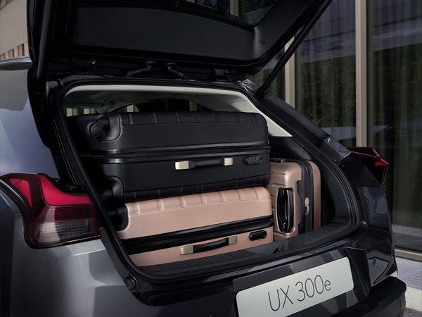 Lexus UX(11) Lease
