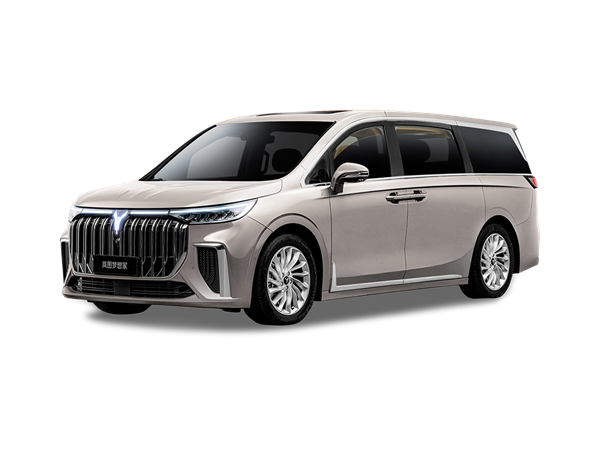 Voyah Dream(11) Lease