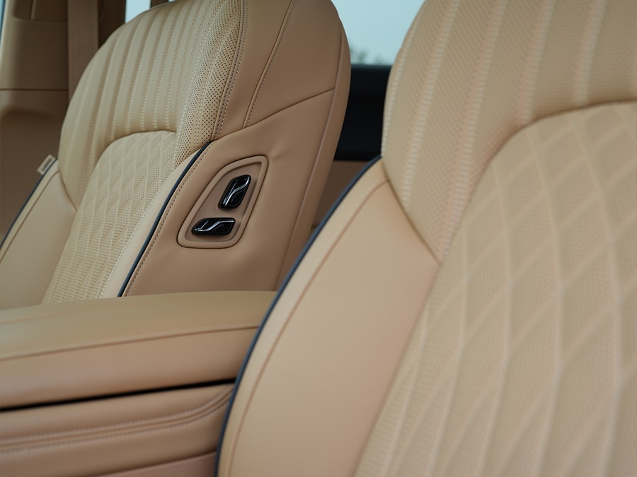 Voyah Dream 108.7kW ev business edition 320kW aut