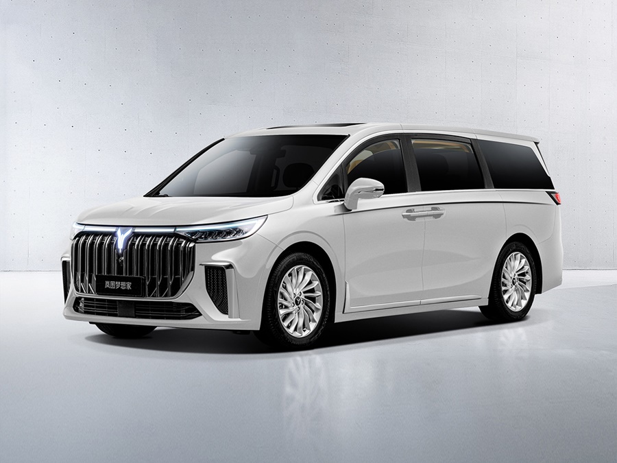 Voyah Dream 108.7kW ev business edition 320kW aut