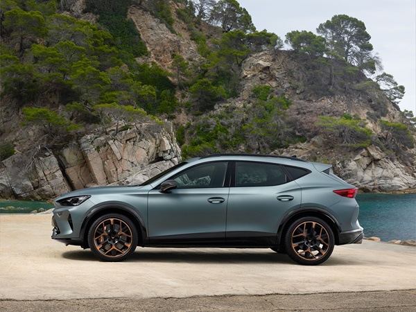 Cupra Formentor(6) Lease