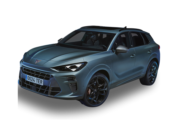 Cupra Terramar(11) Lease