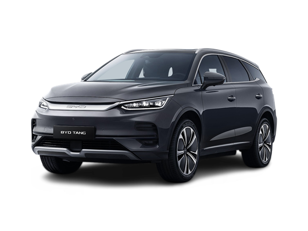 Byd Tang(12) Lease