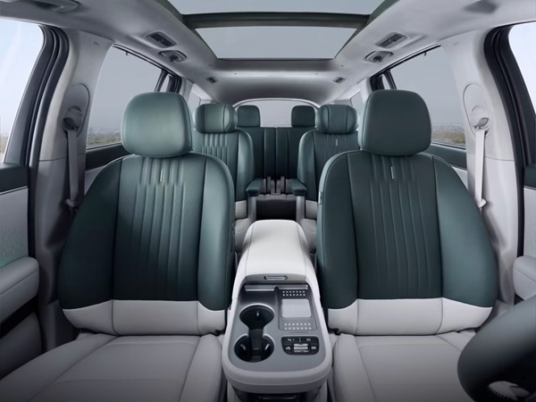 Hyundai IONIQ 9(10) Lease