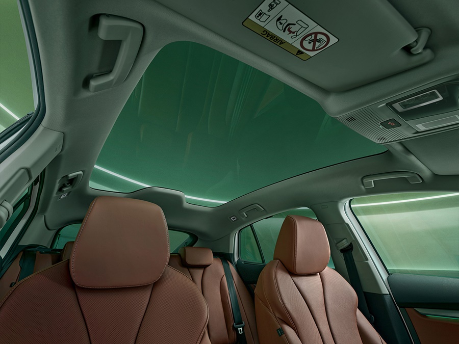 Skoda Enyaq 77Wh 85 Business Edition, Olibo Green + 19 INCH VELGEN / TREKHAAK