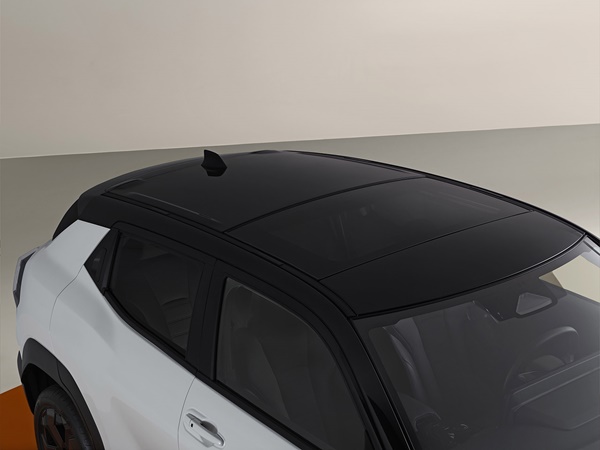 Toyota Urban Cruiser(15) Lease