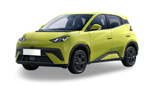 Byd Dolphin Surf 43kWh ev boost 65kW aut