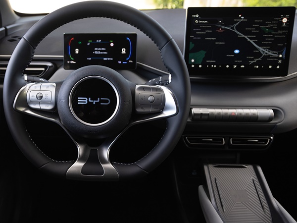 Byd Dolphin Surf (10) Lease