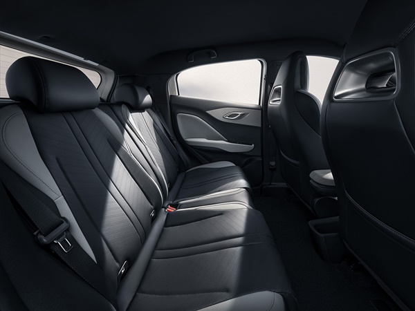 Byd Dolphin Surf (12) Lease