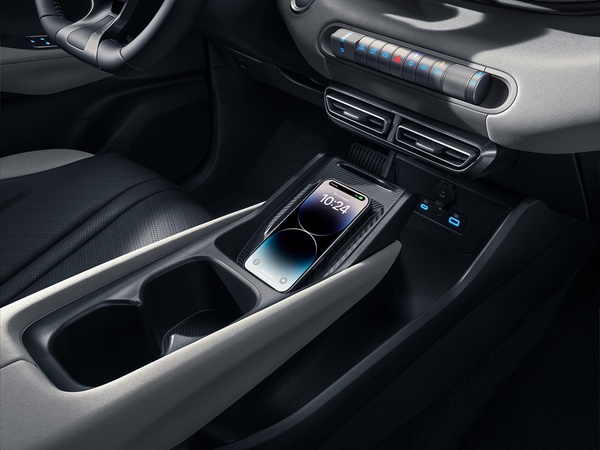 Byd Dolphin Surf (13) Lease