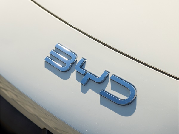 Byd Dolphin Surf (16) Lease