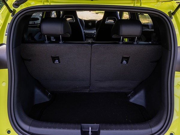 Byd Dolphin Surf (21) Lease