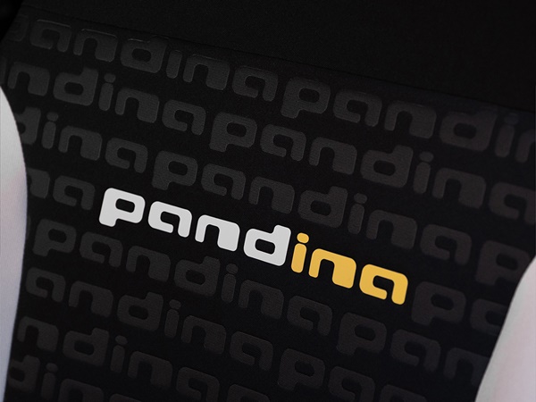 Fiat Pandina(18) Lease