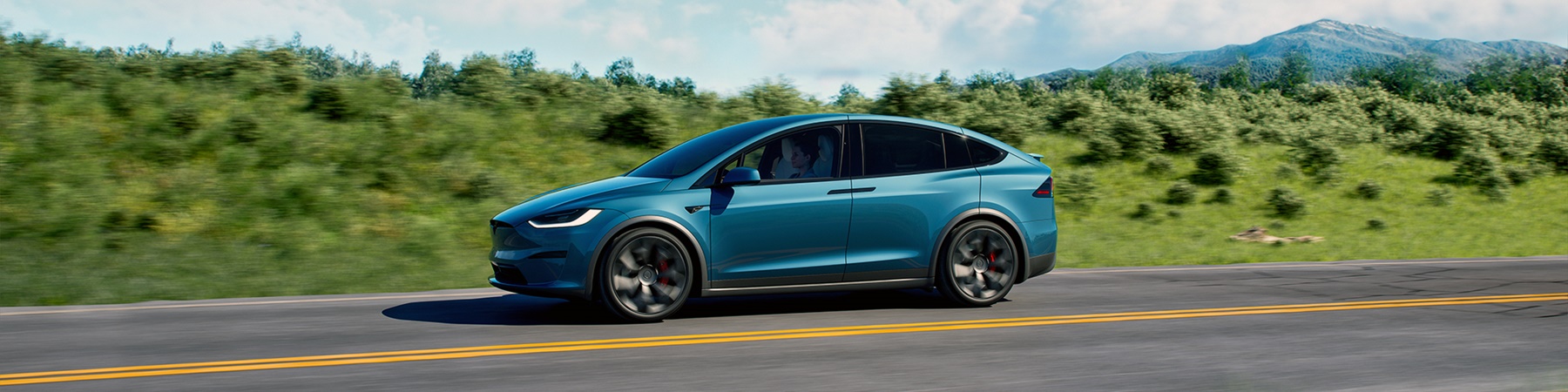 Tesla Model X 100kWh 419 km actieradius